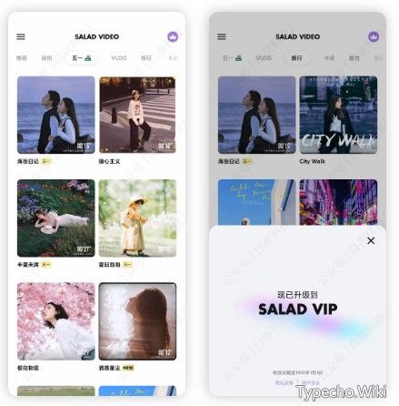 沙拉视频v9.9.9破解版，白嫖所有VIP模板，五一假期必备神器！
